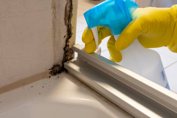 Best Emergency Mold Remediation  in Sycamore, GA